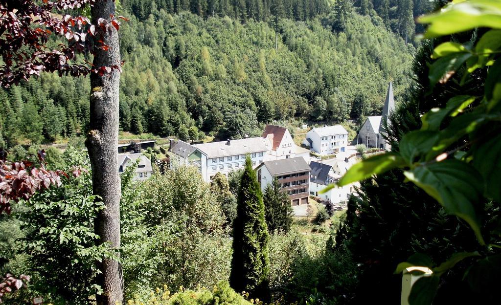 Gasthof Rodachtal Mit Gaestehaus Katharina Schwarzenbach am Wald ภายนอก รูปภาพ